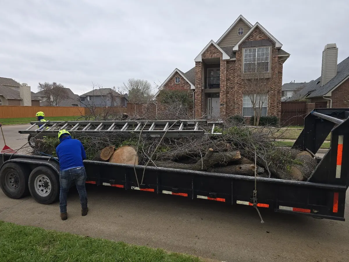 Expert Tree Fertilization with proper safety equipment in Le Claire